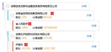 安徽信保互聯(lián)網(wǎng)金融信息服務(wù)有限責(zé)任公司 深耕互聯(lián)網(wǎng)信息服務(wù)，賦能區(qū)域金融創(chuàng)新